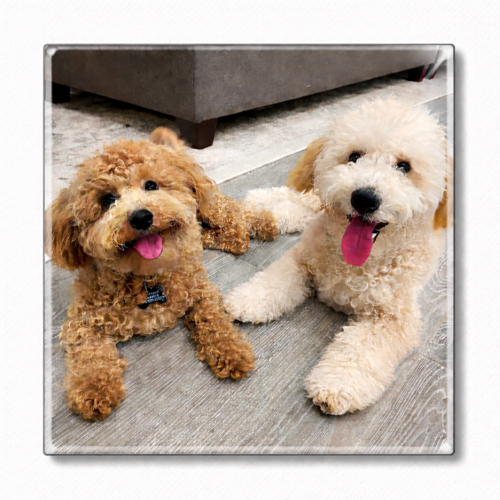 Custom Photo Magnets