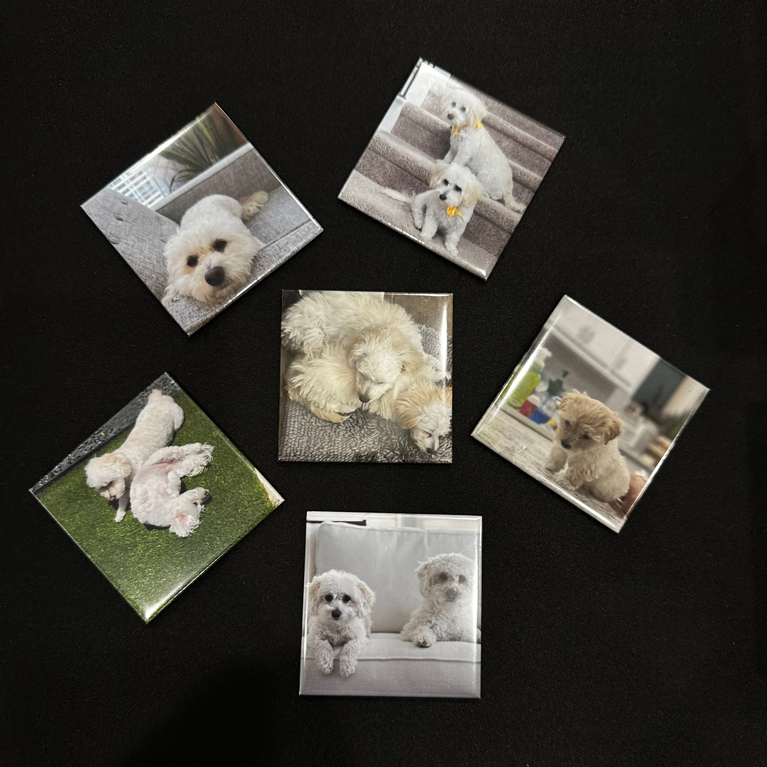 Custom Photo Magnets