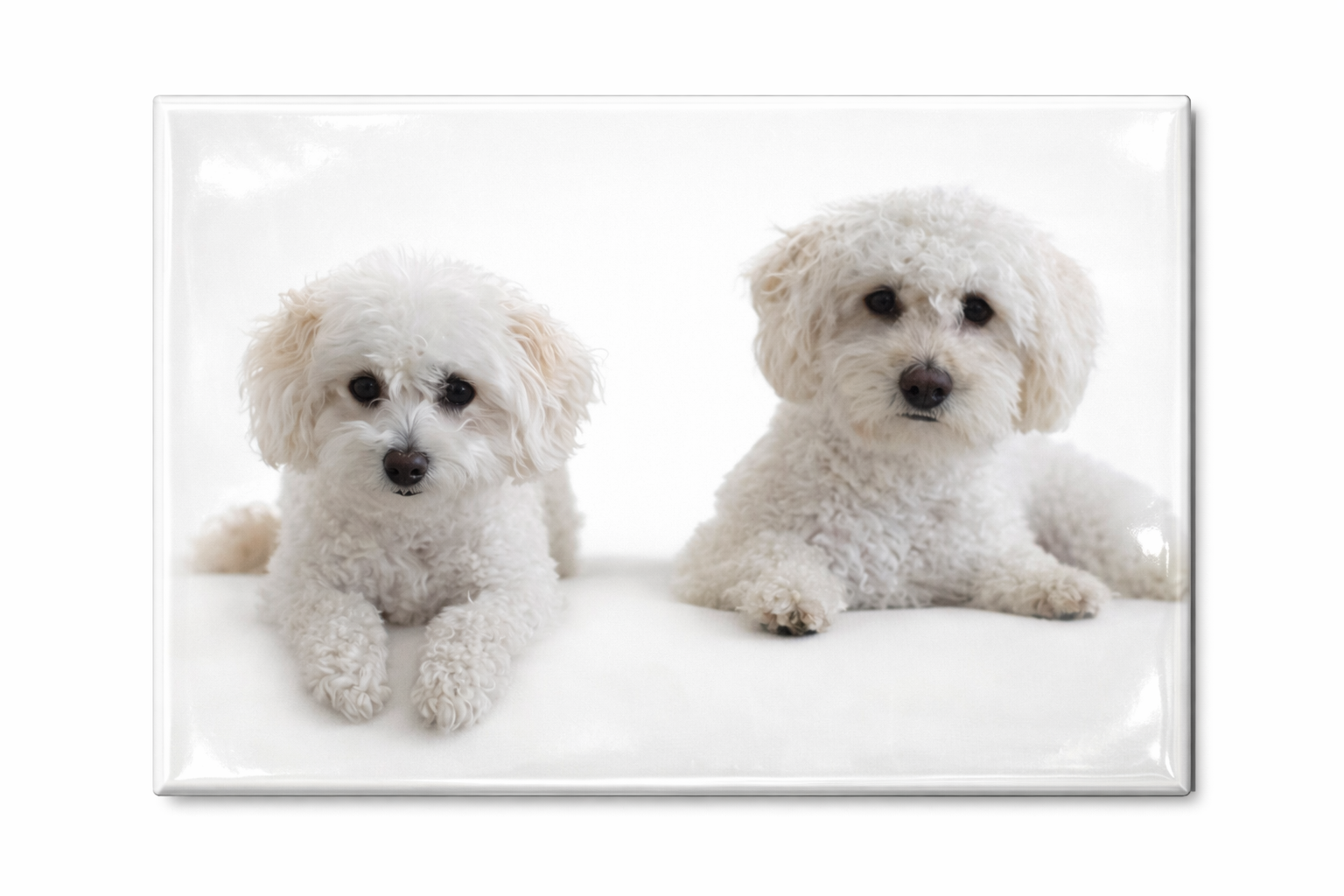 Restickable Photo Tiles