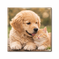 Custom Photo Magnets